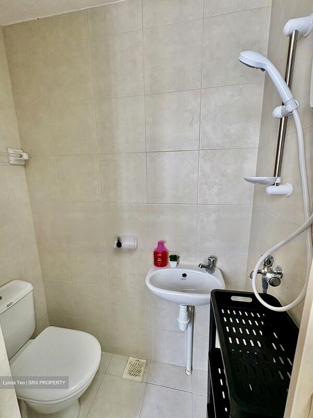Gardenvista (D21), Condominium #484019431